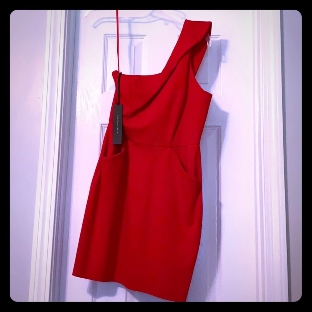 Cynthia Steffe Dress